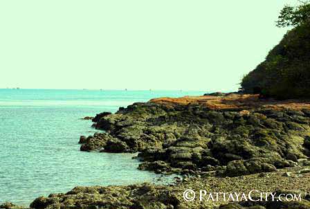pattaya_city_islands (2).jpg